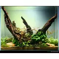 T�o matowe (mist p�przezroczyste) 60x40cm