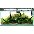 T�o pod�wietlane LED Lightground 120x50cm bia�e
