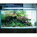 T�o pod�wietlane LED Lightground 180x50cm bia�e