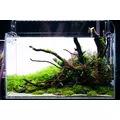 T�o pod�wietlane LED Lightground 45x30cm RGB