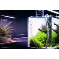 T�o pod�wietlane LED Lightground 60x36cm RGB