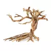 Ton�ce drzewo Bonsai nr 14 25x20cm