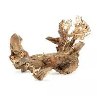 Tonące drzewo Bonsai nr 50 40x30cm