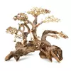 Ton�ce drzewo Bonsai nr 59 50x40cm