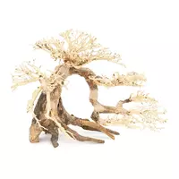 Tonące drzewo Bonsai nr 63 80x50cm