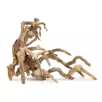 Ton�ce drzewo Bonsai nr 64 60x40cm