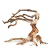 Ton�ce drzewo Bonsai nr nr 24 30x25cm