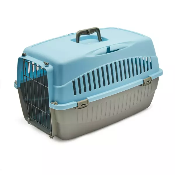 Transporter Doggy M niebieski