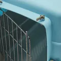 Transporter Doggy M niebieski