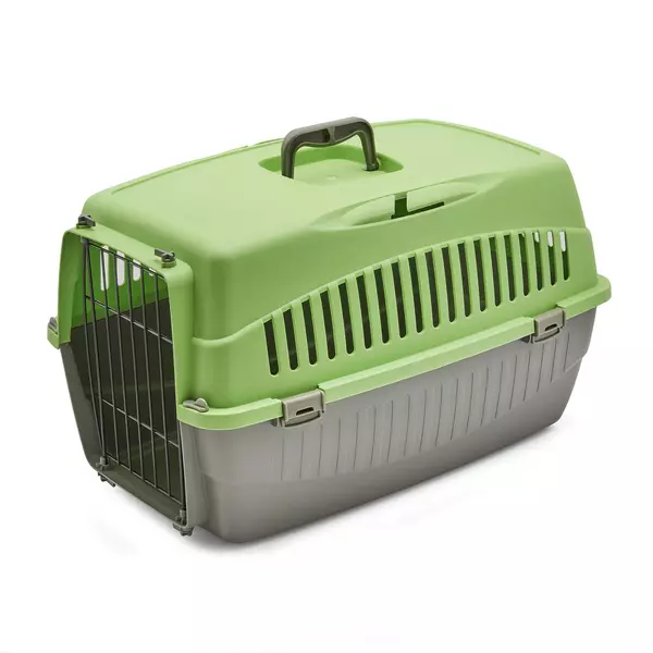 Transporter Doggy M zielony
