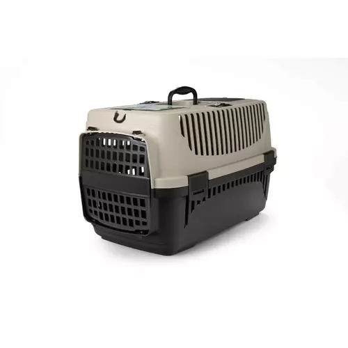 Transporter Molly M be�owy&br�zowy