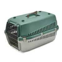 Transporter Oggy M zielony