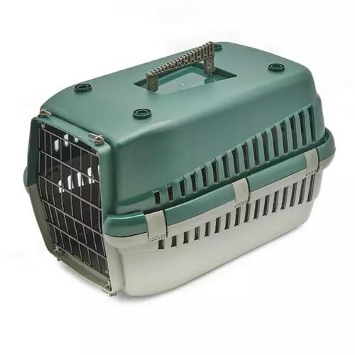 Transporter Oggy S zielony