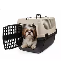 Transporter Polly M be�owy&br�zowy