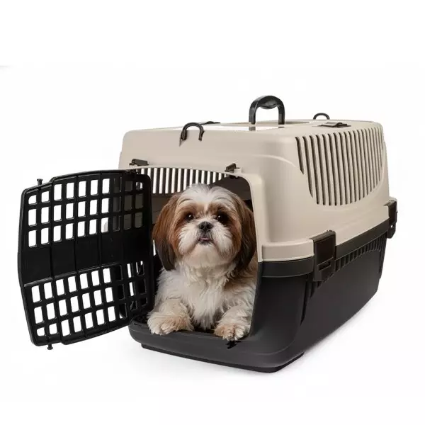 Transporter Polly M be�owy&br�zowy