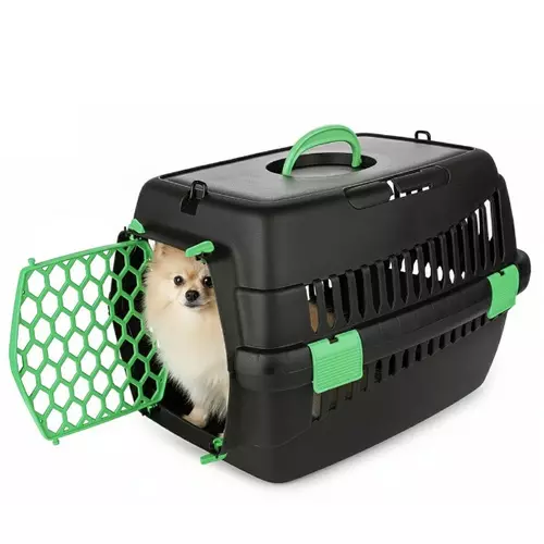 Transporter Teddy M zielony