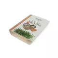 Trawa dla kota w pojemniku, 100g