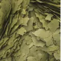 Tropical 3-Algae Flakes [11l/2kg]