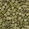 Tropical 3-Algae Tablets A [50ml] - pokarm ro�linny (tabletki)