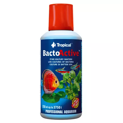 Tropical Bacto-Active [250ml] (34305) - bakterie