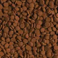 Tropical Carnivore [3L/1,8 kg]-wiaderko/tabletki