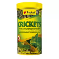 Tropical Crickets [250ml] - pokarm suszony - �wierszcze (11194)