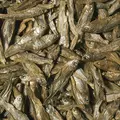Tropical Dried Fish 100ml/15G