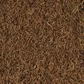 Tropical Fd Blood Worms 250ml/17G