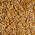Tropical River Shrimps [250ml] - suszone krewetki