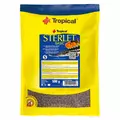 Tropical Sterlet Basic \