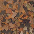 Tropical Tanganyika [5L/1kg]-wiaderko/p�atki