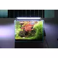 Twinstar Light E-line [31W] - lampa LED do akwarium 60-75cm