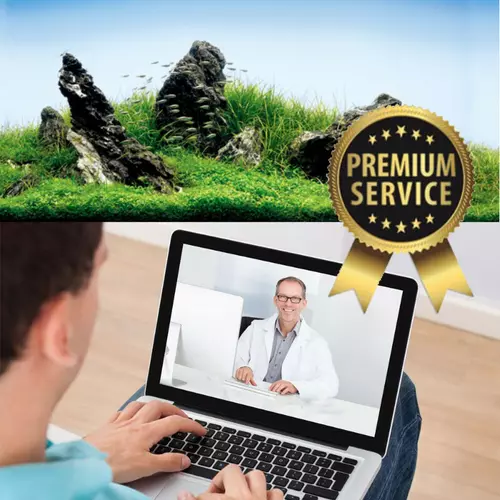 Us�uga konsultacji online [15 minut]