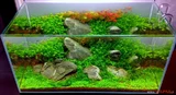 VIMI Accelerator [5000ml] - naw�z w�glowy