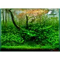 VIMI zestaw nawoz�w do akwarium MEDIUM-TECH
