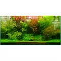 VIMI zestaw nawoz�w do akwarium MEDIUM-TECH