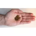 Vitalis Anemone Food [60g] - pokarm dla ukwia��w