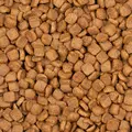Voskes Adlut Chicken 7kg - karma dla kot�w doros�ych
