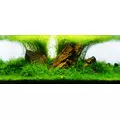 YOKUCHI Gen Fe [30ml] NANO - naw�z �elazowy