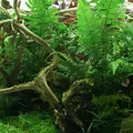 YOKUCHI Haisui Base [2000ml] - pod�o�e drena�owe do terrarium