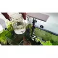 Z-1 BIO PROTECTOR SL-aqua [10g] - na planari�