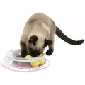 Zabawka Junior Kitten Circle, 24cm