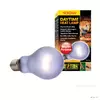 �ar�wka Daytime Heat A19/100W