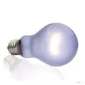 �ar�wka Daytime Heat A19/60W