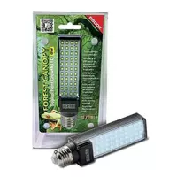 Żarówka Forest Canopy LED, 6500K, 8W