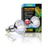 �ar�wka Halogenowa SUN GLO 50W