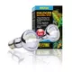 �ar�wka Halogenowa SUN GLO 50W