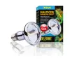 �ar�wka Halogenowa SUN GLO 75W