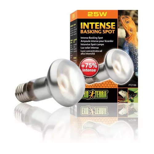 �ar�wka Intense Basking Spot 25W