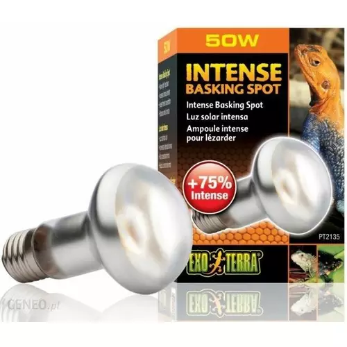 �ar�wka Intense Basking Spot 50W, 63mm